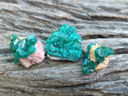 Natural Dioptase Specimens on Dolomite Matrix x 35 From Tantara Mine, Congo
