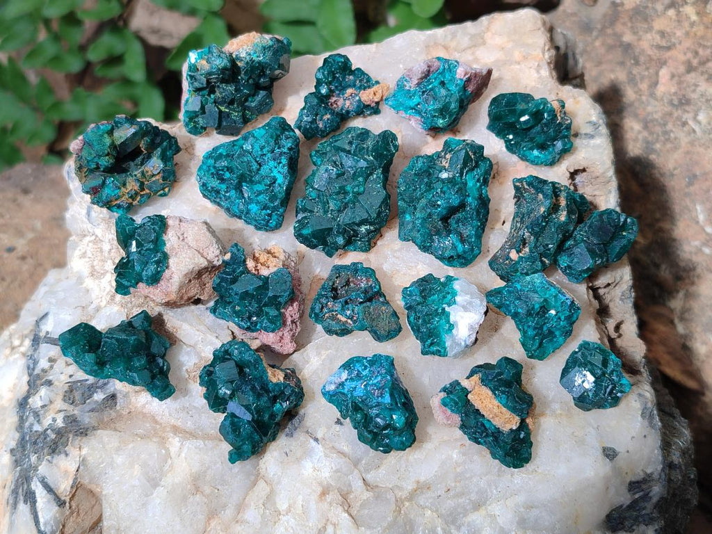 Natural Dioptase Specimens on Dolomite Matrix x 35 From Tantara Mine, Congo