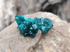 Natural Dioptase Specimens on Dolomite Matrix x 35 From Tantara Mine, Congo
