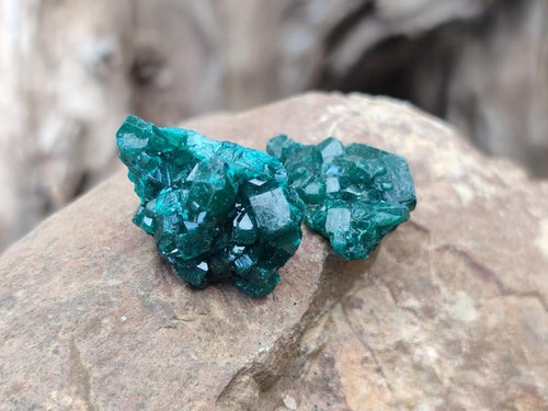 Natural Dioptase Specimens on Dolomite Matrix x 35 From Tantara Mine, Congo