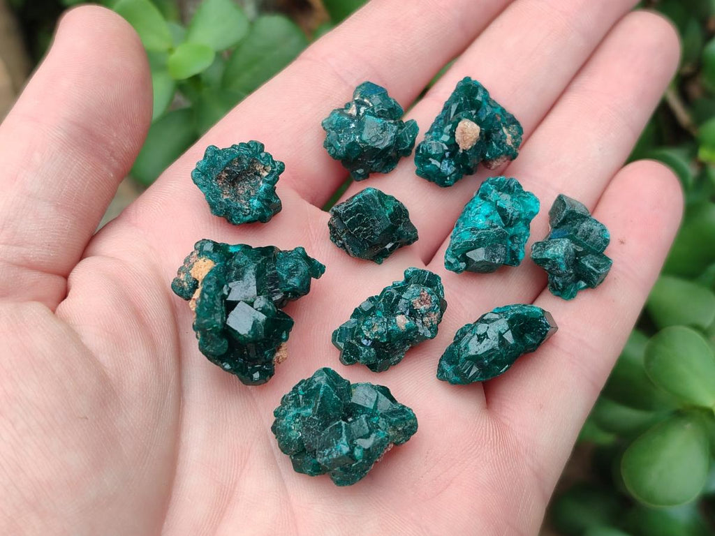 Natural Dioptase Specimens on Dolomite Matrix x 35 From Tantara Mine, Congo