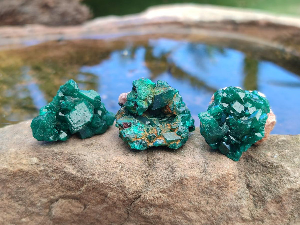 Natural Dioptase Specimens on Dolomite Matrix x 35 From Tantara Mine, Congo