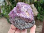 Natural Cobbed Stichtite Specimens x 26 From Barberton, South Africa