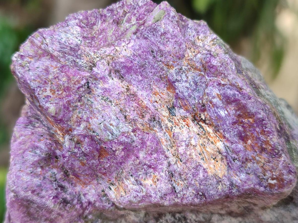 Natural Cobbed Stichtite Specimens x 26 From Barberton, South Africa