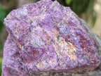 Natural Cobbed Stichtite Specimens x 26 From Barberton, South Africa