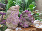 Natural Cobbed Stichtite Specimens x 26 From Barberton, South Africa