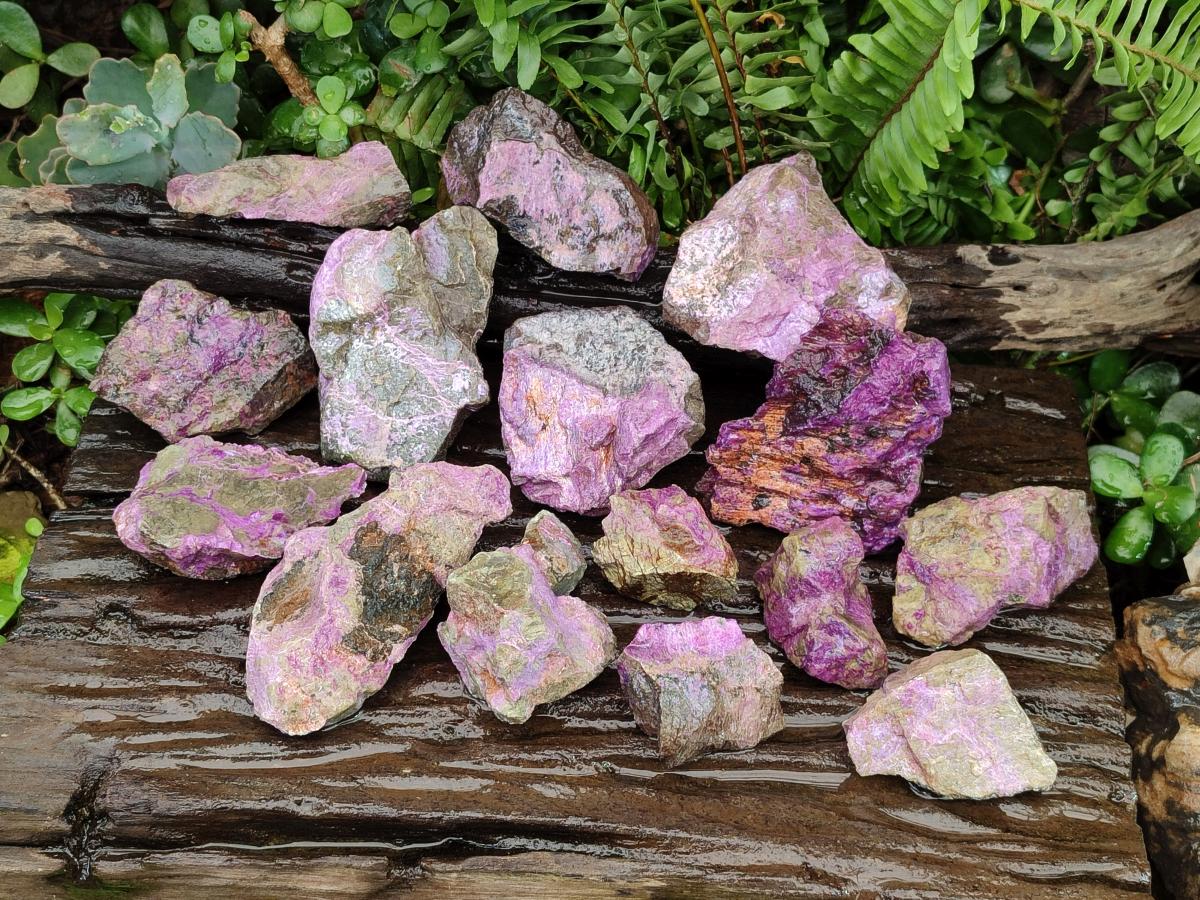 Natural Cobbed Stichtite Specimens x 26 From Barberton, South Africa