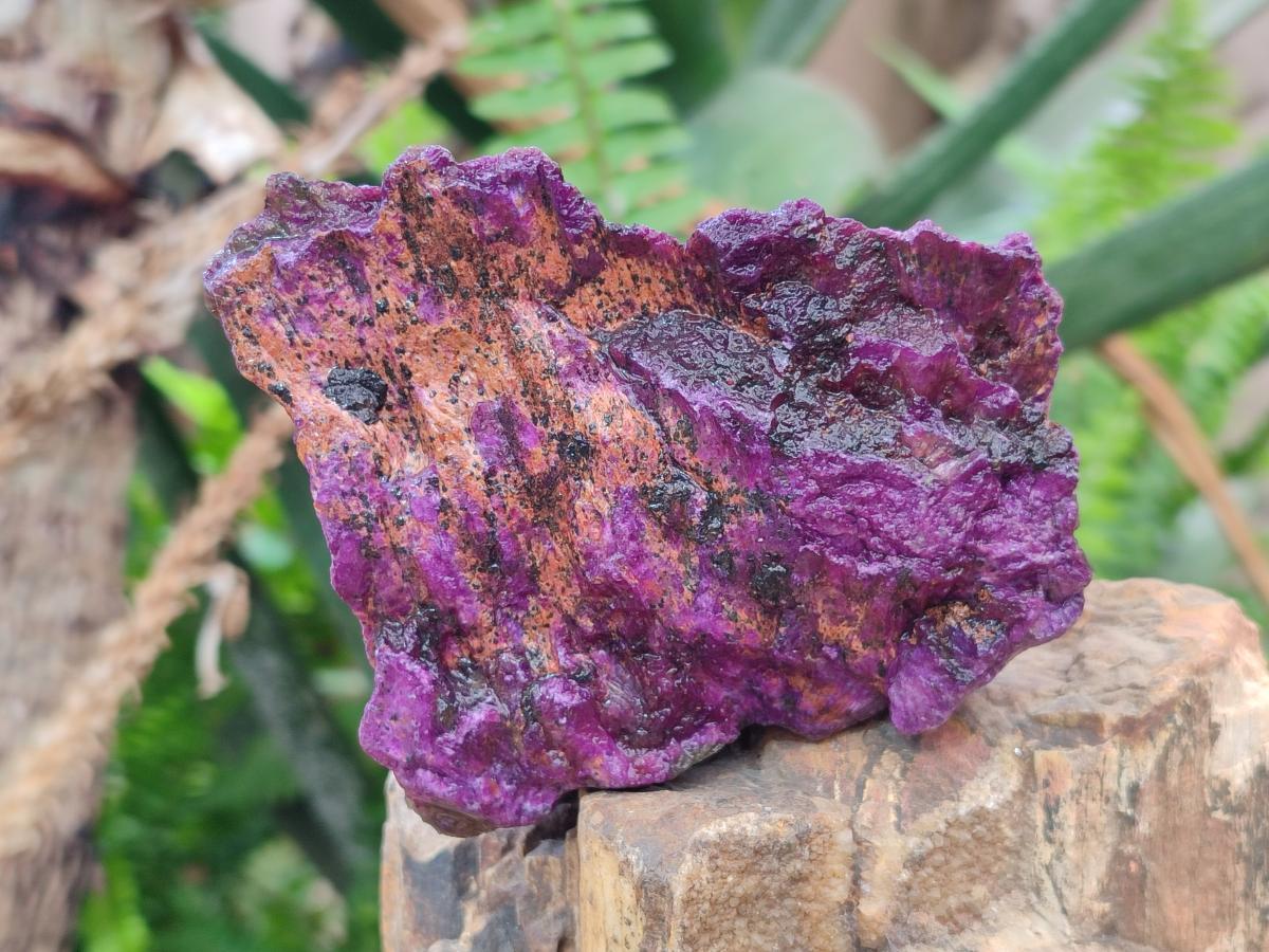 Natural Cobbed Stichtite Specimens x 26 From Barberton, South Africa
