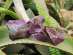 Natural Cobbed Stichtite Specimens x 26 From Barberton, South Africa