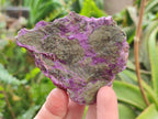 Natural Cobbed Stichtite Specimens x 26 From Barberton, South Africa