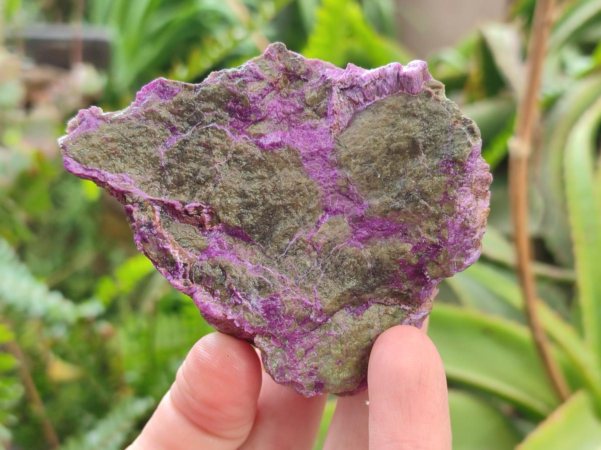 Natural Cobbed Stichtite Specimens x 26 From Barberton, South Africa