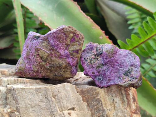 Natural Cobbed Stichtite Specimens x 26 From Barberton, South Africa