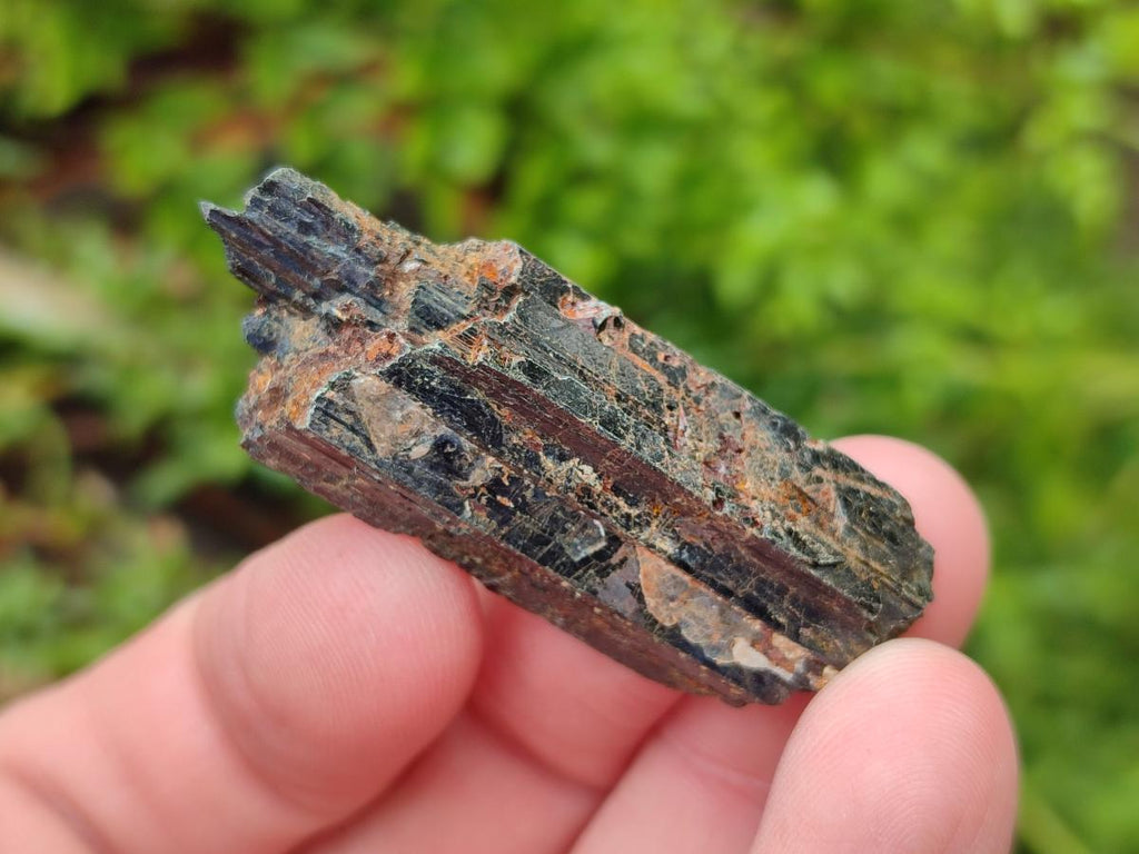 Natural Aegirine Crystals x 70 From Zomba, Malawi