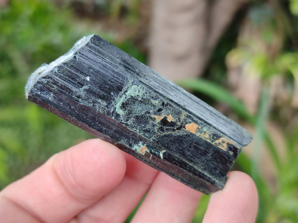 Natural Aegirine Crystals x 70 From Zomba, Malawi