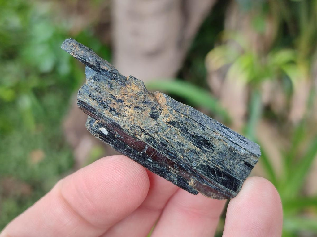 Natural Aegirine Crystals x 70 From Zomba, Malawi