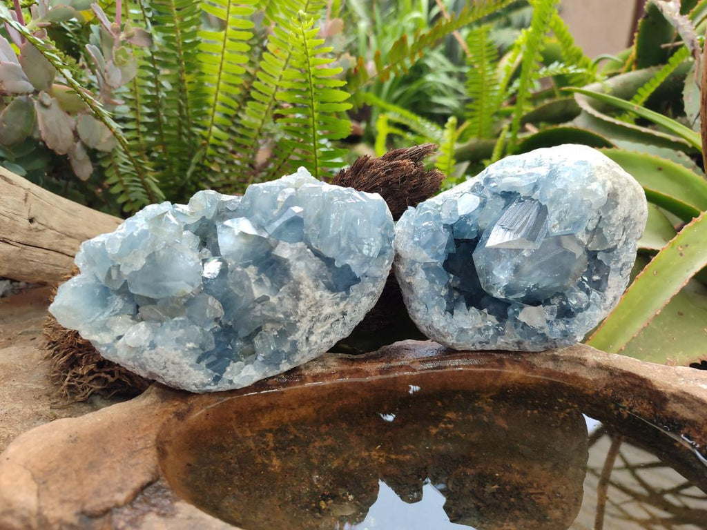 Natural Blue Celestite Specimens x 2 From Sakoany, Madagascar - Toprock Gemstones and Minerals 