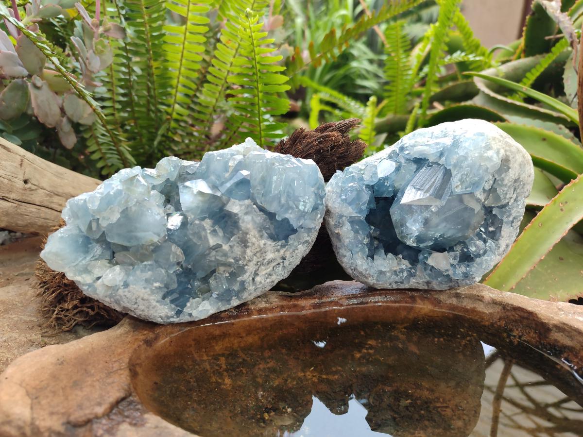 Natural Blue Celestite Specimens x 2 From Sakoany, Madagascar - Toprock Gemstones and Minerals 