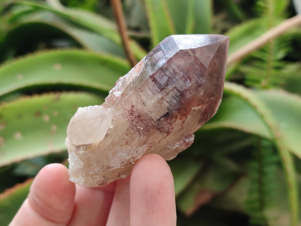 Natural Red Hematoid Quartz Crystals x 12 From Karoi, Zimbabwe