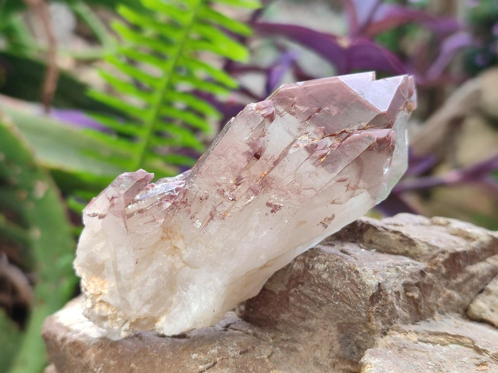 Natural Red Hematoid Quartz Crystals x 12 From Karoi, Zimbabwe