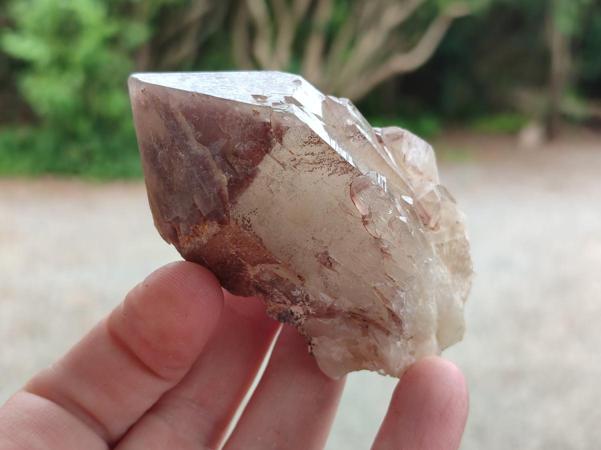 Natural Red Hematoid Quartz Crystals x 12 From Karoi, Zimbabwe