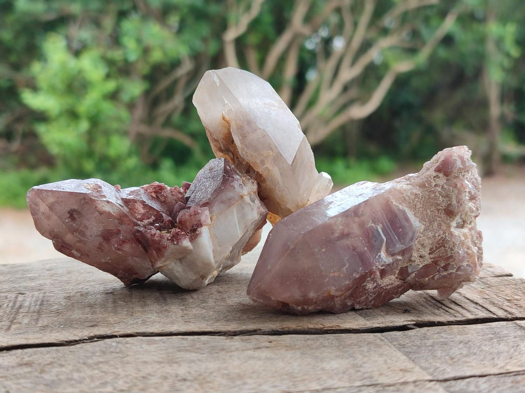 Natural Red Hematoid Quartz Crystals x 12 From Karoi, Zimbabwe