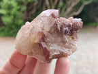 Natural Red Hematoid Quartz Crystals x 12 From Karoi, Zimbabwe