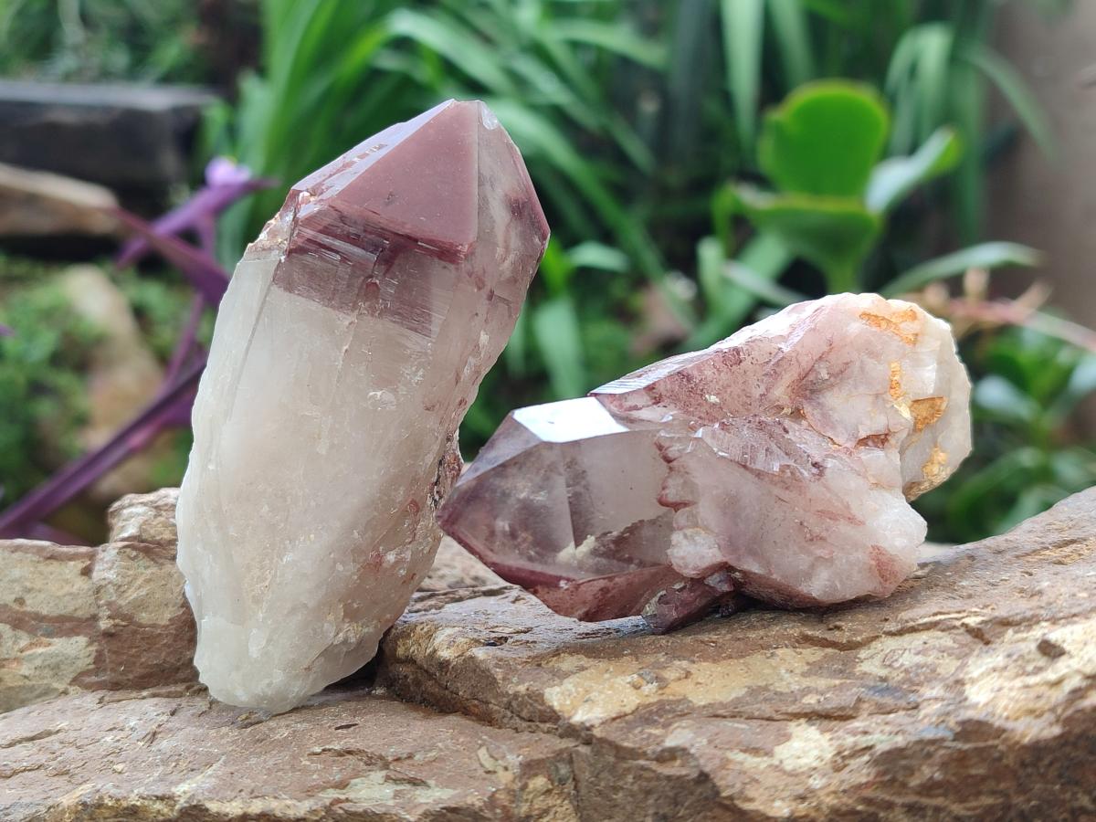 Natural Red Hematoid Quartz Crystals x 12 From Karoi, Zimbabwe
