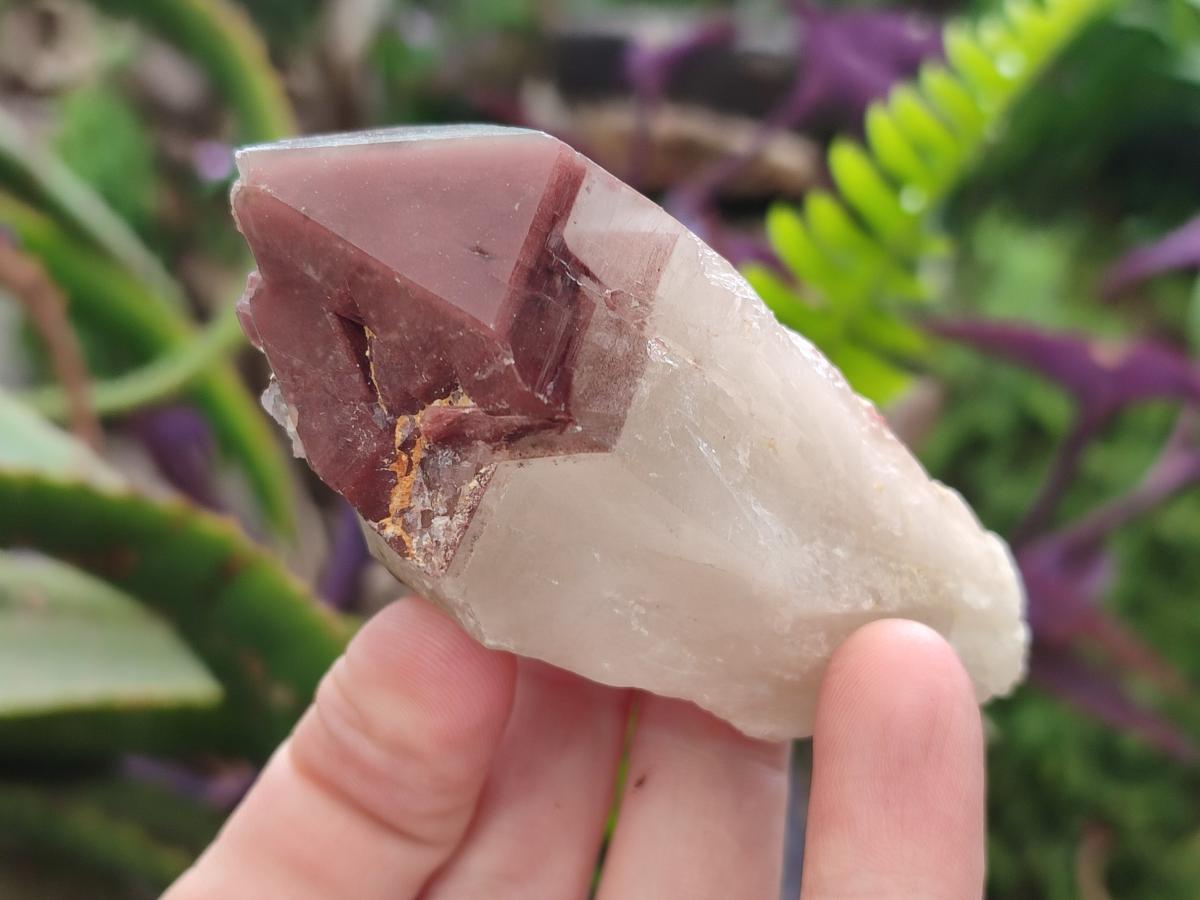 Natural Red Hematoid Quartz Crystals x 12 From Karoi, Zimbabwe