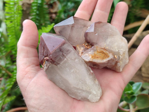 Natural Red Hematoid Quartz Crystals x 12 From Karoi, Zimbabwe