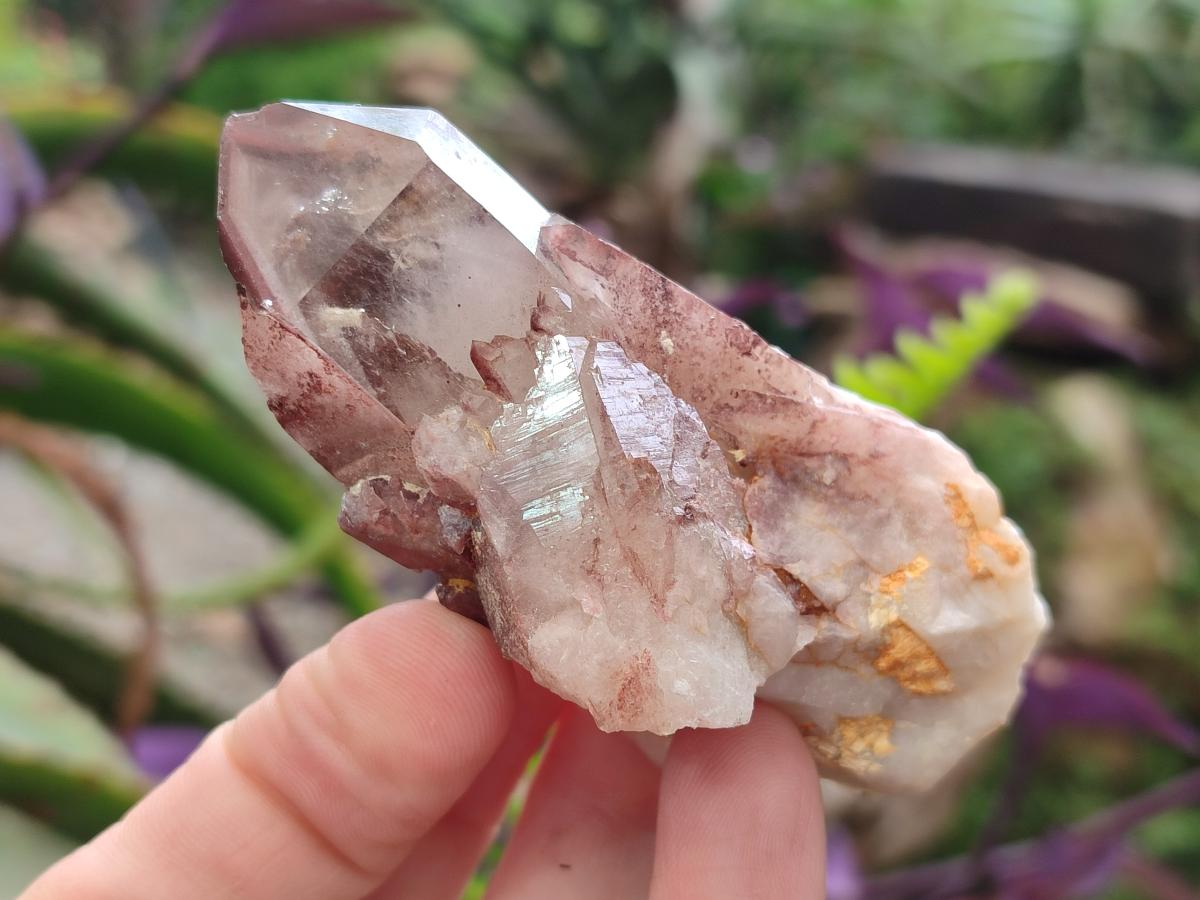 Natural Red Hematoid Quartz Crystals x 12 From Karoi, Zimbabwe