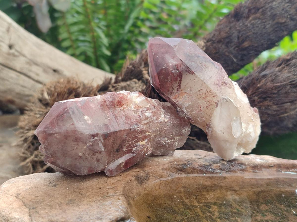 Natural Red Hematoid Quartz Crystals x 12 From Karoi, Zimbabwe