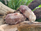 Natural Red Hematoid Quartz Crystals x 12 From Karoi, Zimbabwe