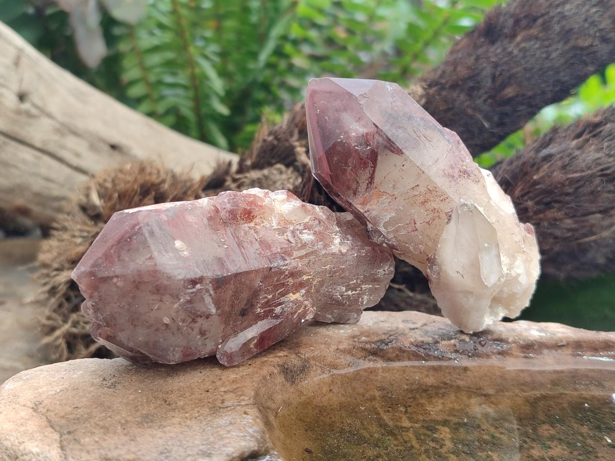 Natural Red Hematoid Quartz Crystals x 12 From Karoi, Zimbabwe