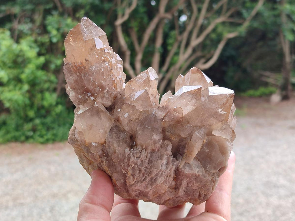 Natural Cascading White Phantom Smokey Luena Quartz Clusters x 2 From Luena, Congo - Toprock Gemstones and Minerals 