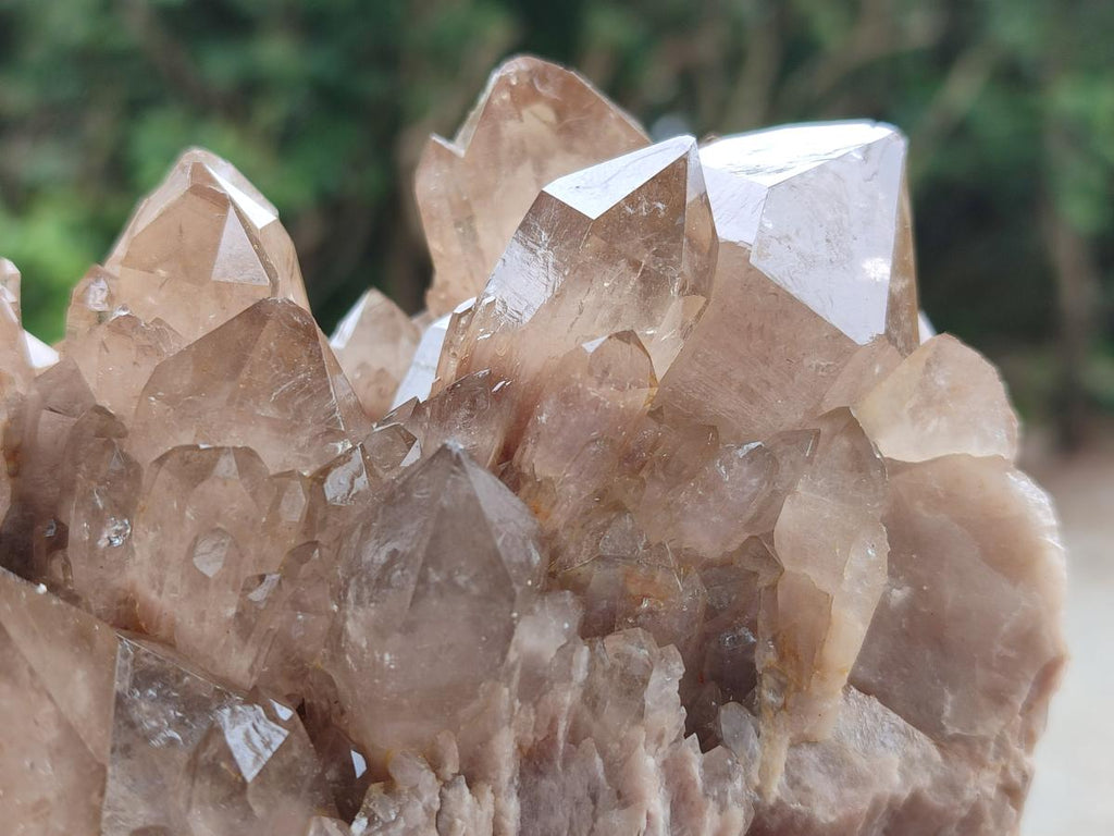 Natural Cascading White Phantom Smokey Luena Quartz Clusters x 2 From Luena, Congo - Toprock Gemstones and Minerals 