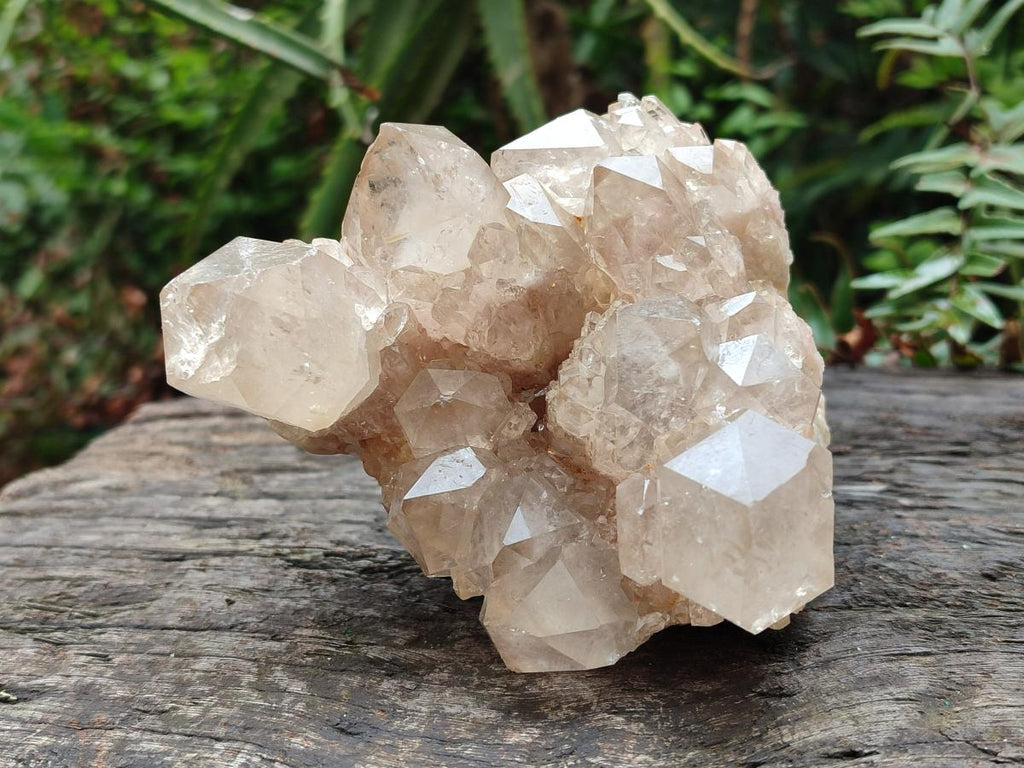 Natural Cascading White Phantom Smokey Luena Quartz Clusters x 2 From Luena, Congo - Toprock Gemstones and Minerals 