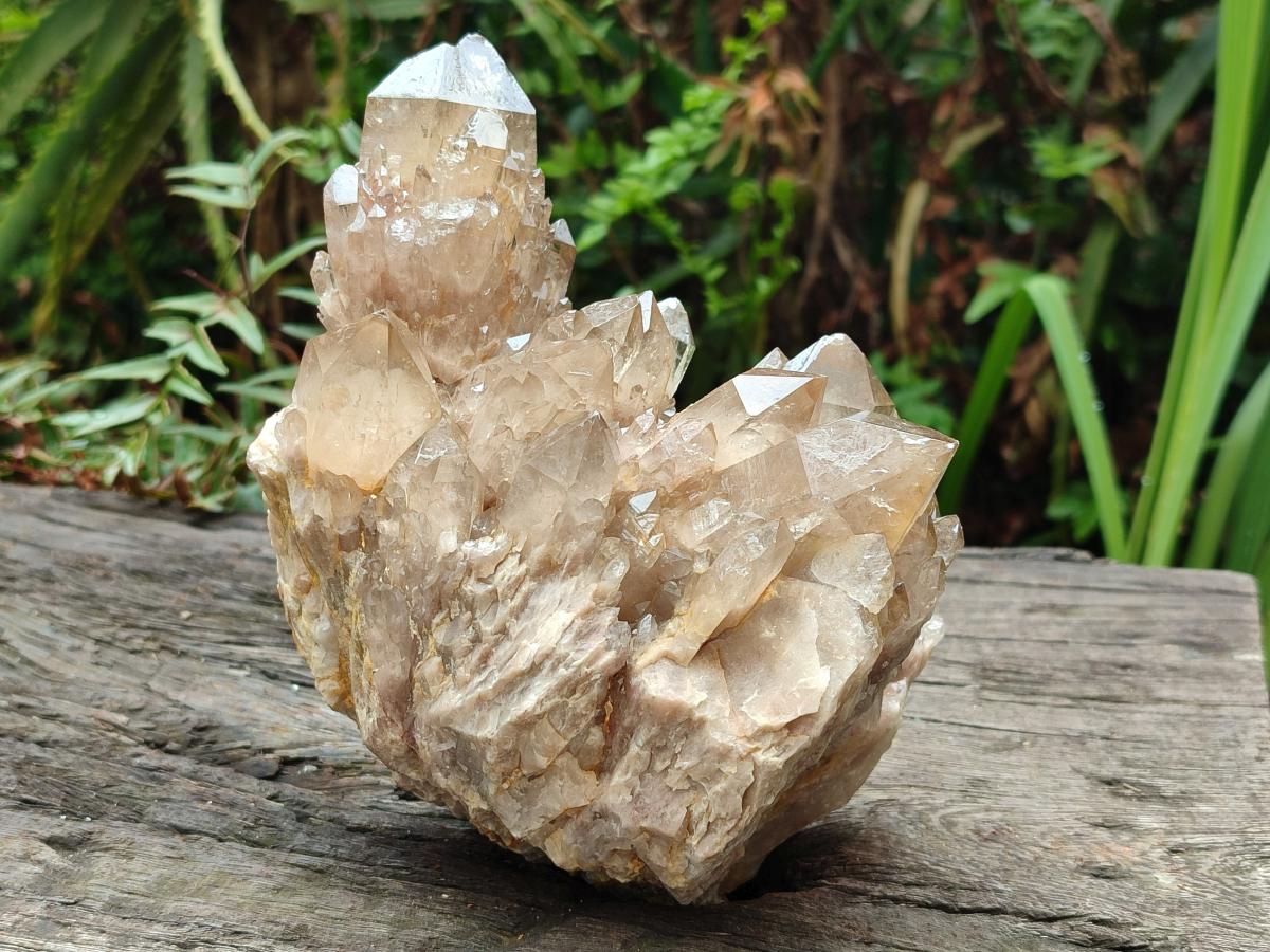Natural Cascading White Phantom Smokey Luena Quartz Clusters x 2 From Luena, Congo - Toprock Gemstones and Minerals 