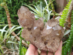 Natural Cascading White Phantom Smokey Luena Quartz Clusters x 2 From Luena, Congo - Toprock Gemstones and Minerals 