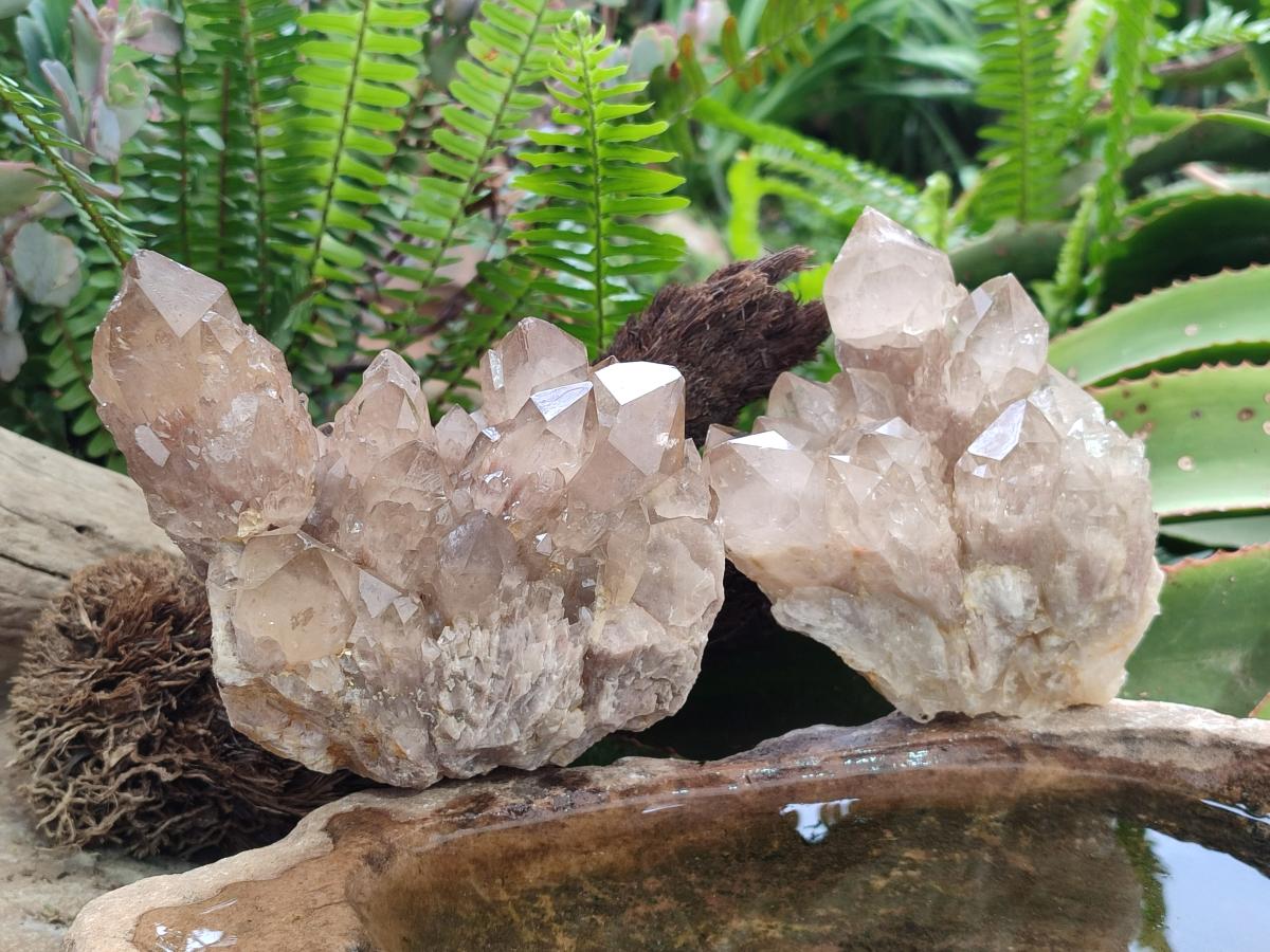 Natural Cascading White Phantom Smokey Luena Quartz Clusters x 2 From Luena, Congo - Toprock Gemstones and Minerals 