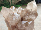 Natural Cascading White Phantom Smokey Luena Quartz Clusters x 2 From Luena, Congo - Toprock Gemstones and Minerals 