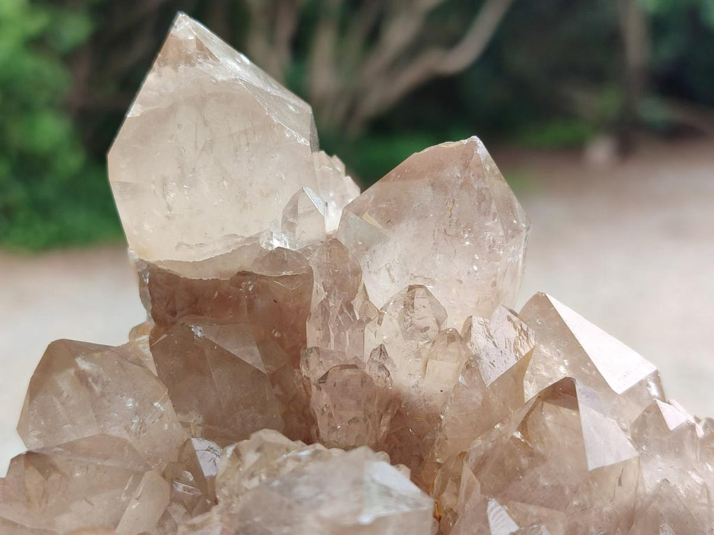 Natural Cascading White Phantom Smokey Luena Quartz Clusters x 2 From Luena, Congo - Toprock Gemstones and Minerals 
