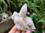 Natural Lilac Spirit Amethyst Clusters x 3 From Boekenhouthoek, South Africa