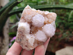 Natural Lilac Spirit Amethyst Clusters x 3 From Boekenhouthoek, South Africa