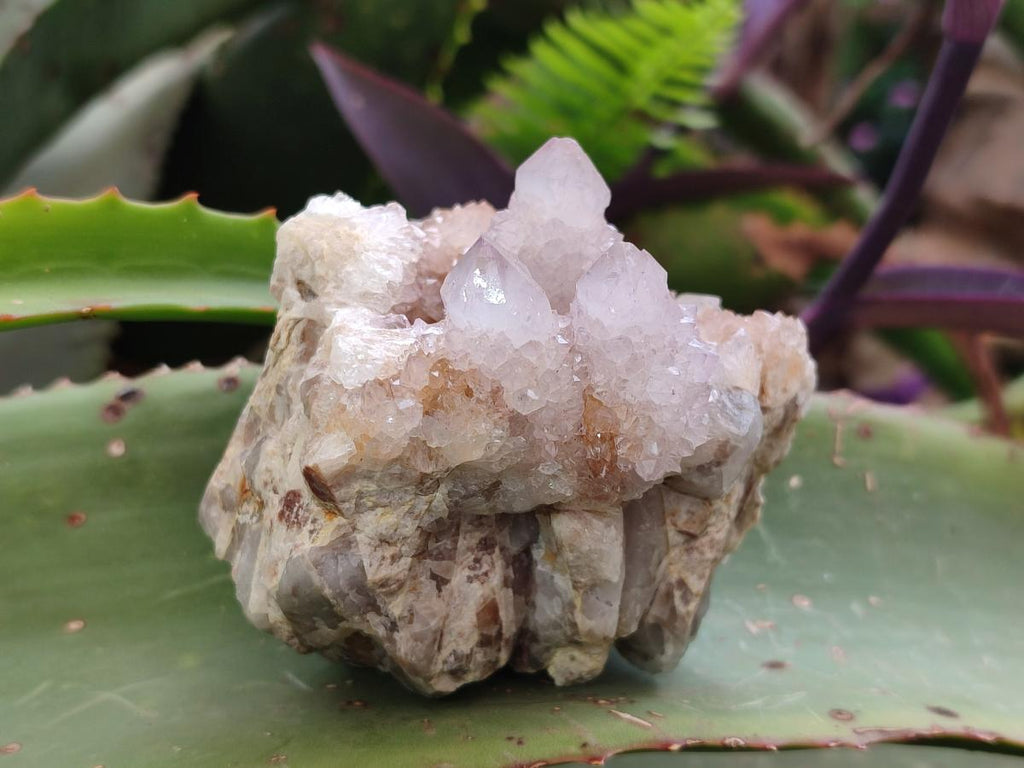Natural Lilac Spirit Amethyst Clusters x 3 From Boekenhouthoek, South Africa