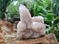 Natural Lilac Spirit Amethyst Clusters x 3 From Boekenhouthoek, South Africa