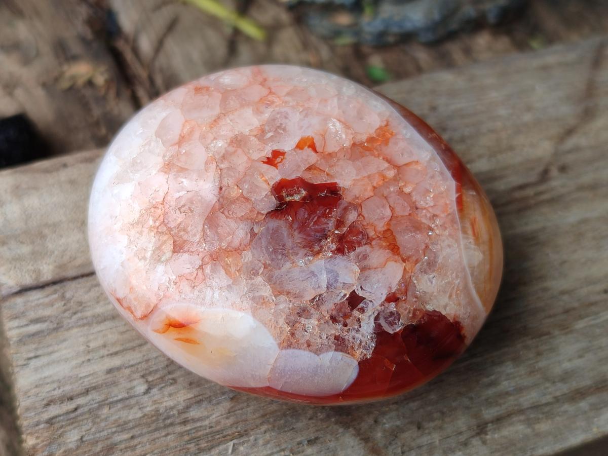 Polished and Natural Carnelian Agate Gemstone Galets x 12 From Madagascar