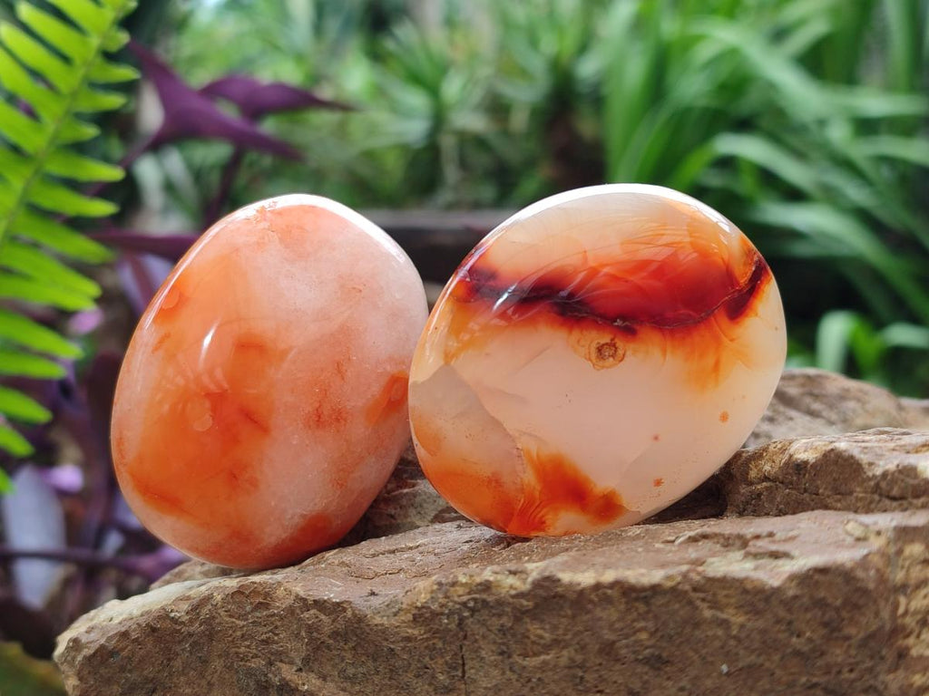 Polished and Natural Carnelian Agate Gemstone Galets x 12 From Madagascar