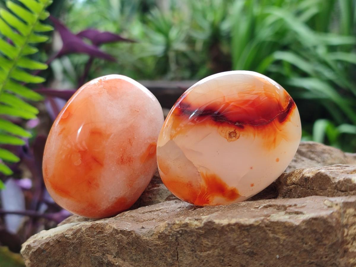 Polished and Natural Carnelian Agate Gemstone Galets x 12 From Madagascar