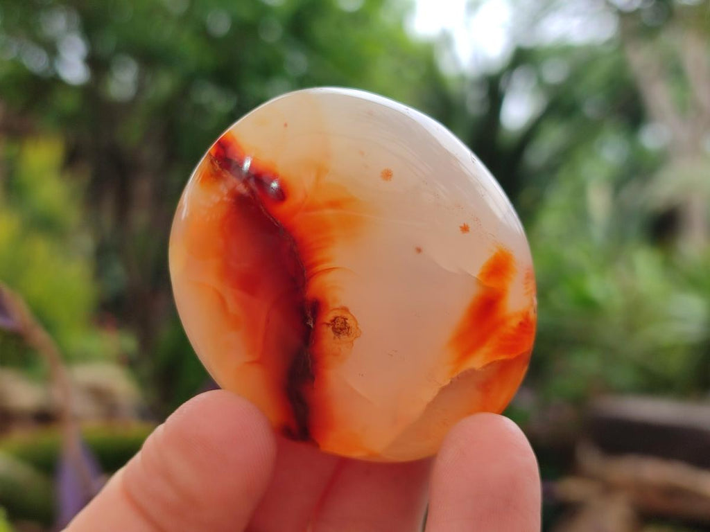 Polished and Natural Carnelian Agate Gemstone Galets x 12 From Madagascar