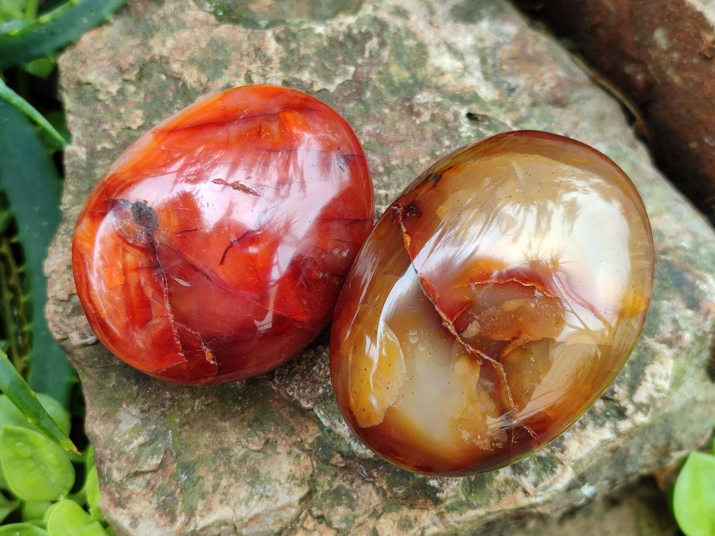 Polished and Natural Carnelian Agate Gemstone Galets x 12 From Madagascar
